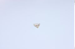 Foto von Diamant (NHMW-MIN-Ab5708)